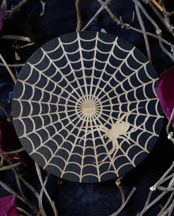 Spiderweb coaster